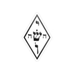 The Yoshua Radionics Symbol Sticker — Die-Cut Transparent Outdoor